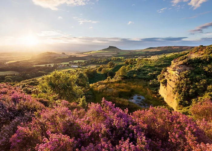 Landal Woodland Lakes